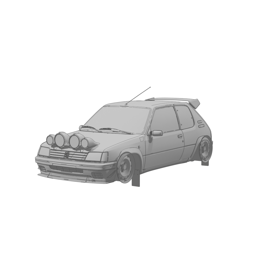 205 Rallye Front